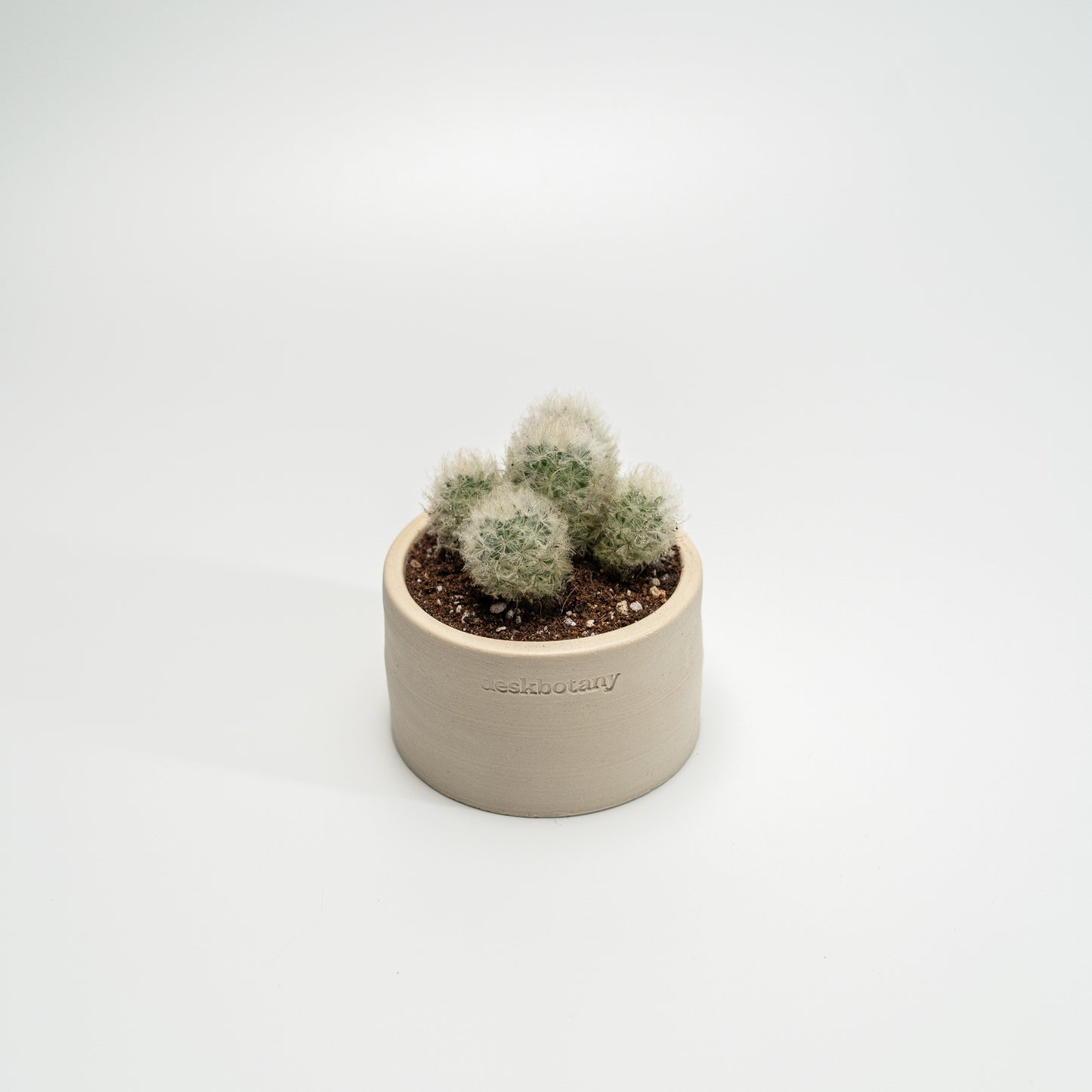 Cotton Ball