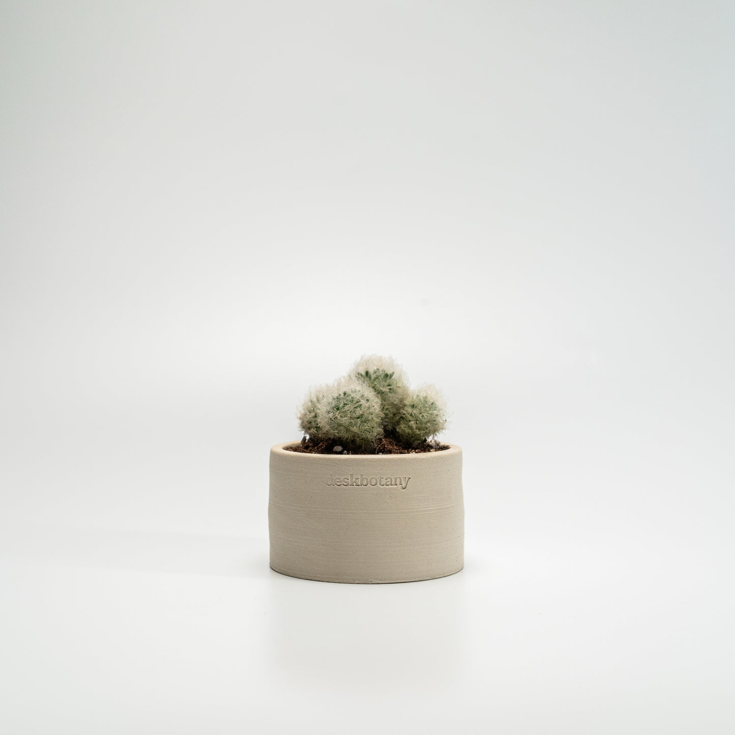 Cotton Ball