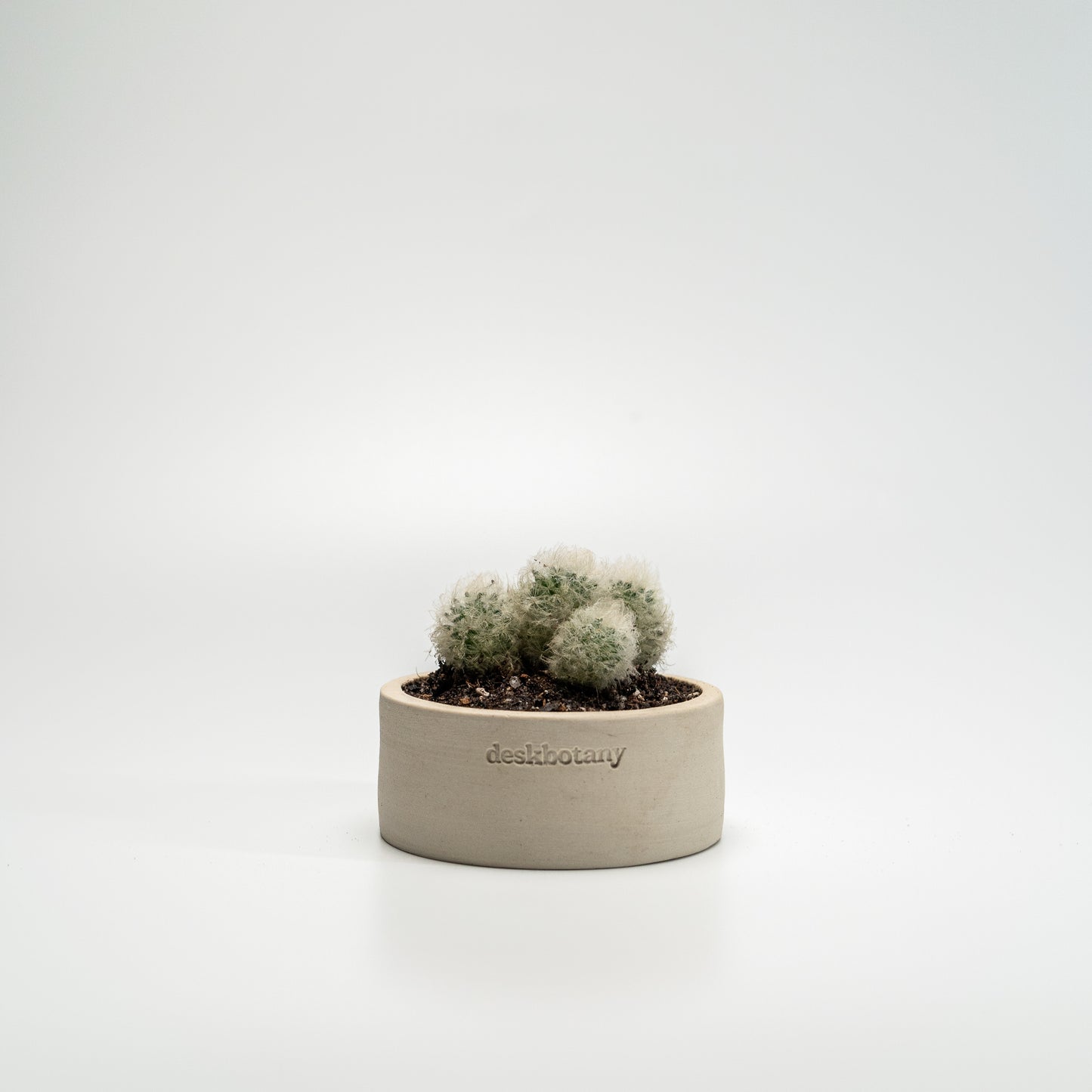 Cotton Ball