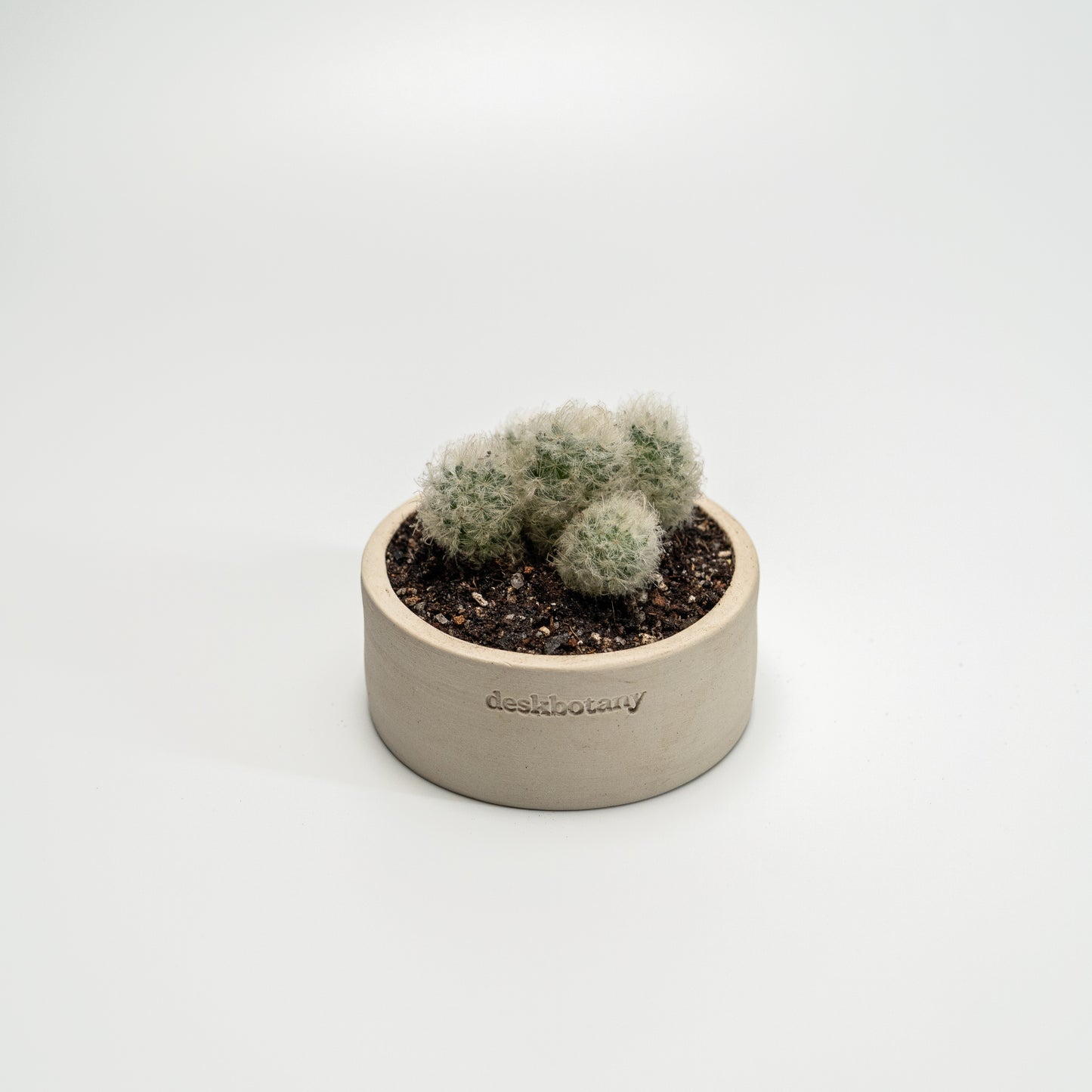 Cotton Ball
